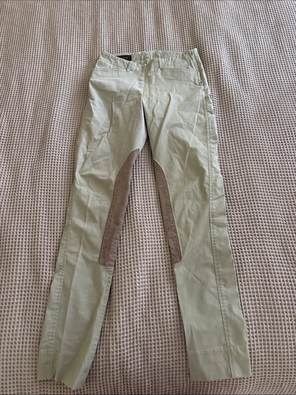 Women’s Ariat Horse Back Riding Breeches Light Sage